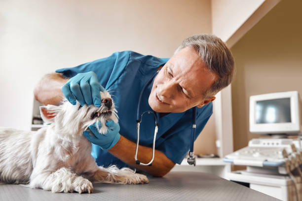 Best Emergency Wisdom Tooth Extraction in Linntown, PA